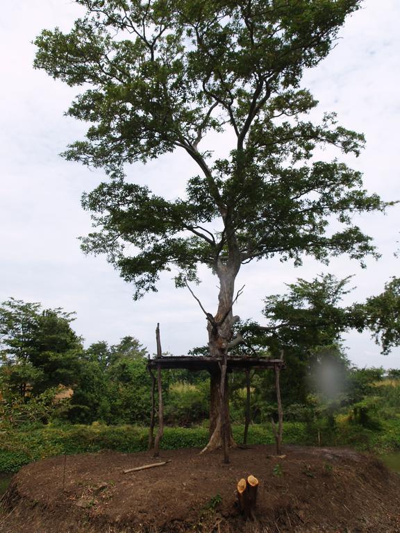 Welimaluwa Resort Sigiriya Kibissa Dış mekan fotoğraf