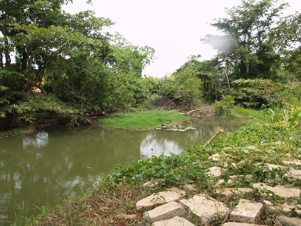 Welimaluwa Resort Sigiriya Kibissa Dış mekan fotoğraf