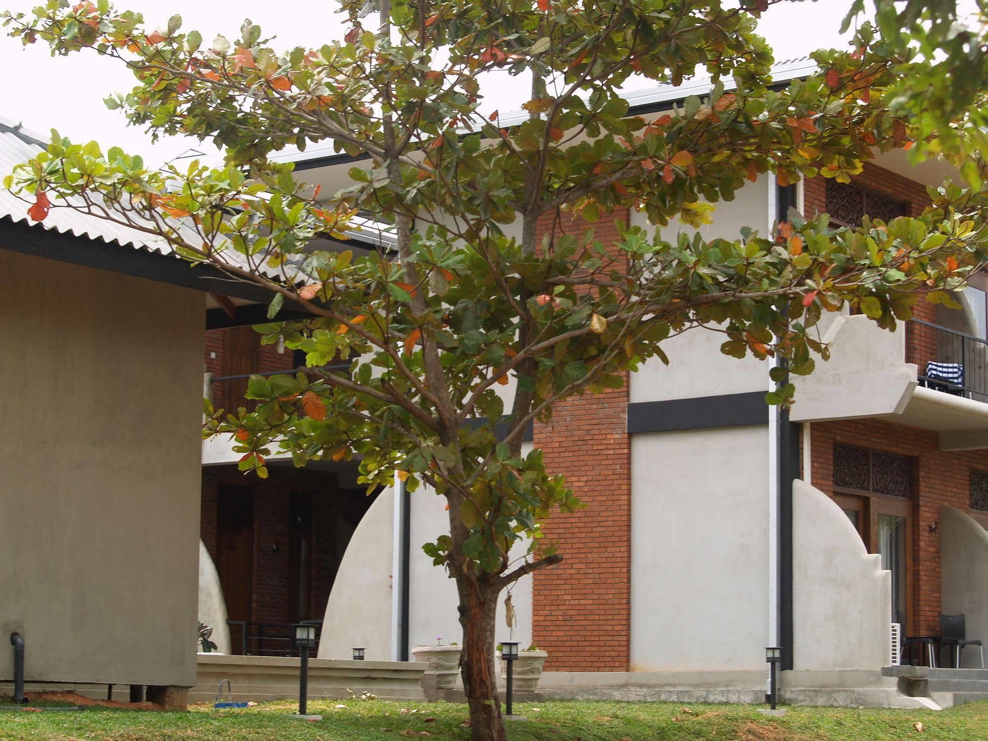 Welimaluwa Resort Sigiriya Kibissa Dış mekan fotoğraf